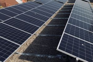 Claus Web devine verde! Mai #eco #verde #greenpeace