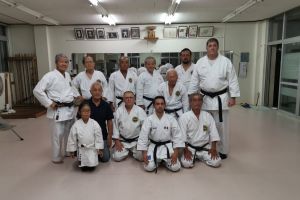 Premii în Japonia pentru karateka târgovişteni