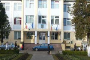 Organigrama Primăriei Luduş, modificată