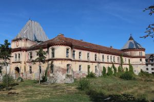 Descoperire EXCEPŢIONALĂ în Cetatea Ineului (GALERIE FOTO)