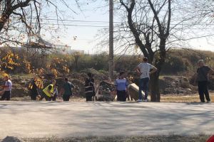 Cauza accidentului de la Nojorid: Bărbatul care a murit, un orădean de 42 de ani, a depăşit prin dreapta şi a pierdut controlul Daciei