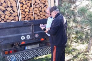 Ialomiţa: Acţiuni pentru prevenirea şi combaterea delictelor silvice   