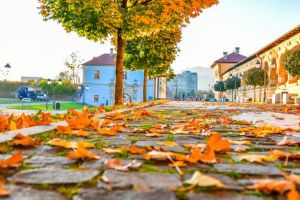 Vreme frumoasă de toamnă în weekend cu temperaturi record pentru această perioadă