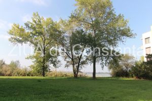 Apropiat al tandemului Mazare –Constantinescu:  Vila turistica, ridicata de George Secarea pe bulevardul Mamaia, creste pe verticala 