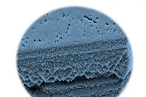 #DobrogeaAcademica: Institutul de Economie Agrara al Academiei Romane aduce in dezbatere provocarile actuale ale fermierilor europeni