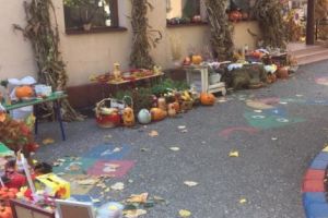 Grădiniţa „Căsuţa poveştilor”, paradisul bostanilor