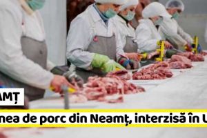 NEAMȚ: Carnea de porc din Neamţ, interzisă în UE