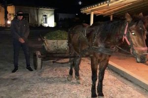 DOSAR PENAL pentru doi bărbaţi din Blaj: Au vrut să plece acasă cu 300 de kg de lucernă balotată