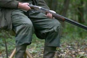 Proiect de LEGE: Armament de serviciu pentru pădurari, letal sau neletal. Propunere legislativă adoptată de Senat