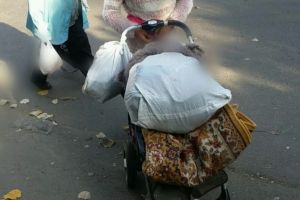 Politistii locali au actionat pentru mentinerea ordinii si sigurantei publice in Constanta. Ce nereguli au constatat (galerie foto)