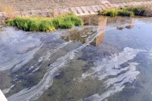 Poluare pe Crişul Repede: Urme suspecte pe suprafaţa râului, în zona Sovata. Un ecologist acuză ABA Crişuri că nu supraveghează apele