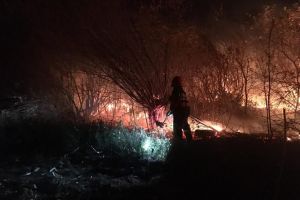 Incendiu de vegetaţie uscată la Jina – Intervin pompierii