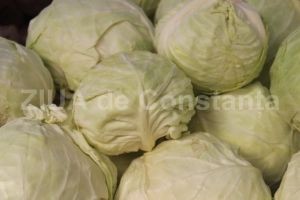 Varza, ideala in diete datorita numarului foarte mic de calorii