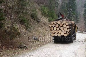 Amendat pentru 5 metri cubi de cherestea