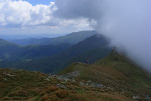De la Sfântul Dumitru, căldura intră în pământ, iar codrul se înnegreşte