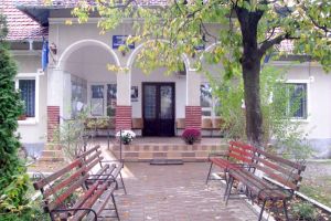 Duminică, sărbătoare la Tigveni: „Ziua mărului”