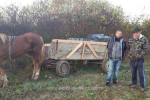 VIDEO. Contrabandă cu căruţa în judeţul Satu Mare. Poliţia a deschis focul!