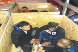 Mai multi imigranti ascunsi intr-o autoutilitara au fost descoperiti de Politia de Frontiera de la Nadlac