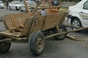 Obligaţiile conducătorilor de atelaje hipo în trafic