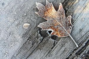 Gata cu zilele calde! O masă de aer arctic se îndreaptă spre Europa