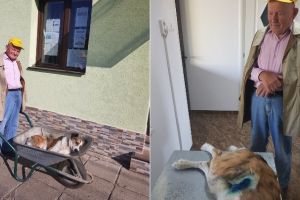 Dragoste pentru ANIMALE! Bătrân de 84 de ani şi-a dus câinele la veterinar pe jos 8 km