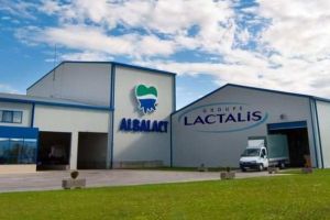 Albalact are cel mai scăzut ritm de creştere de după preluarea de grupul francez Lactalis. Care sunt cifrele