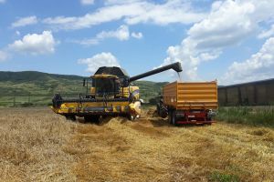 Până de 1 noiembrie, 80% dintre fermieri vor încasa avansul din subvenţii