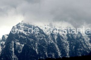 jobjogjoy.com: Imputernicire