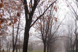 Meteorologii au dat ALERTA. Un val de aer polar loveşte România. Vor fi temperaturi cu 25 de grade mai mici