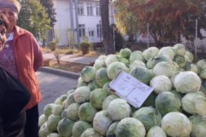 La Piteşti, plătiţi dublu pentru varză