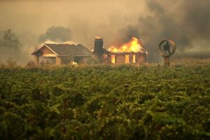 Aproape 100.000 de oameni evacuaţi din calea incendiilor din California