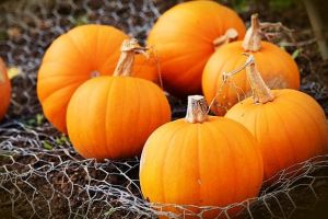 Darurile toamnei: Dovleacul, de ce ce ar trebui să-l mănânci zi de zi, dar cu măsură