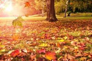 Echinocţiul de toamnă – 22 septembrie