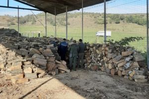 Poliţişti braşoveni şi specialişti silvici, angajaţi într-o razie de amploare, la ocoale silvice din Bistriţa-Năsăud