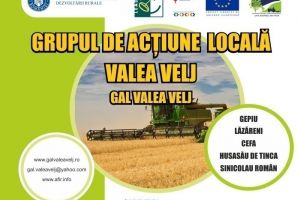 Apel de selecţie: GAL Valea Velj anunţă public lansarea sesiunii de cerere de proiecte LEADER