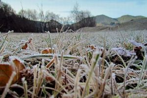 Vremea se schimbă drastic – Frontul de aer polar aduce ninsoare şi la Sibiu