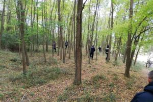 Un alt bărbat s-a rătăcit în pădure. Poliţiştii şi jandarmii l-au găsit după câteva ore
