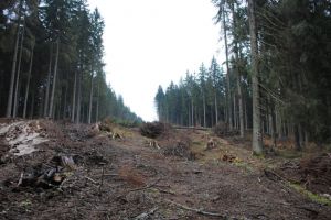 Muncitorul rănit la Păltiniş a fost găsit mort