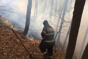 VIDEO FOTO – Incendiul de pădure din Cisnădie s-a reaprins – Zeci de pompieri la faţa locului