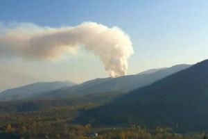 FOTO Incendiul devastator de la Măgura ia proporţii. Flăcările s-au extins pe patru hectare