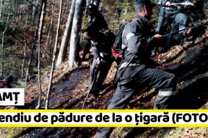 NEAMȚ: Incendiu de pădure de la o ţigară. 3 zile de luptă cu focul pentru pompieri (FOTO)