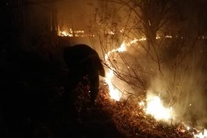 FOTO. Incendiu de amploare în judeţ: hectare întregi cuprinse de flăcări