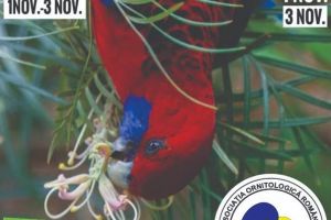 Expoziţie de păsări exotice, la Grădina Zoologică Braşov