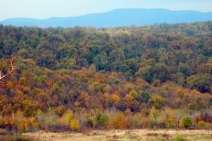 Cum va fi vremea pana in 10 noiembrie in Maramures