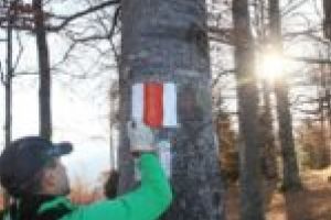 Trasee turistice proaspăt marcate pe Țarcu!