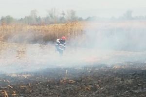 Apel disperat al pompierilor: „STOP! Renunţaţi la curăţarea terenurilor prin incendiere!”