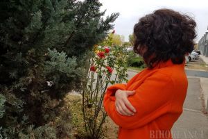 Pregătiţi paltoanele! Meteorologii anunţă zile friguroase şi chiar ninsori în Bihor