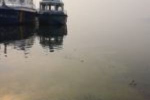 Alertă pe Dunăre! Autorităţile anunţă o nouă poluare