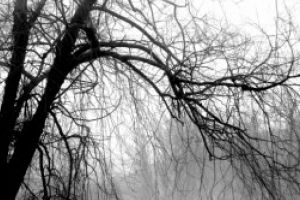 Informare meteo: Frig in toate regiunile tarii. Ninsori la munte si precipitatii mixte in zonele deluroase