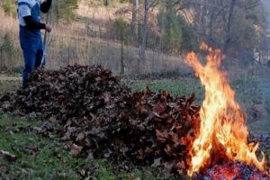 Robu face apel la spiritul civic: Nu mai ardeţi frunzele, vrea să facă oraşul mai tare ca oricând!